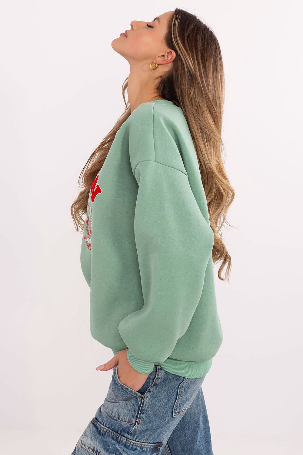  Sweatshirt model 206132 Factory Price 